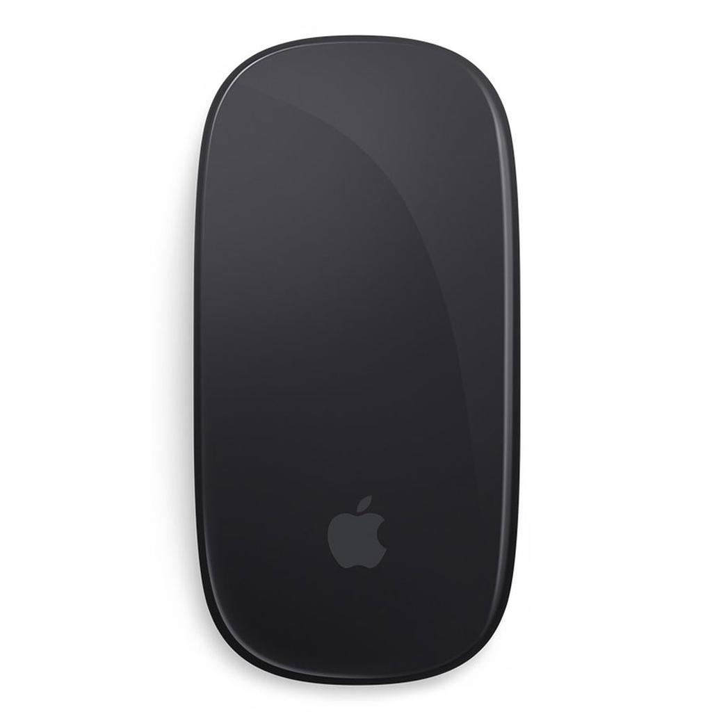 Magic mouse 2 sans fil - Gris sidéral